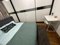 Dover Parkview (D5), Condominium #497982391